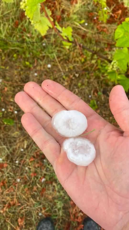 maltempo grandine fosio emilia romagna