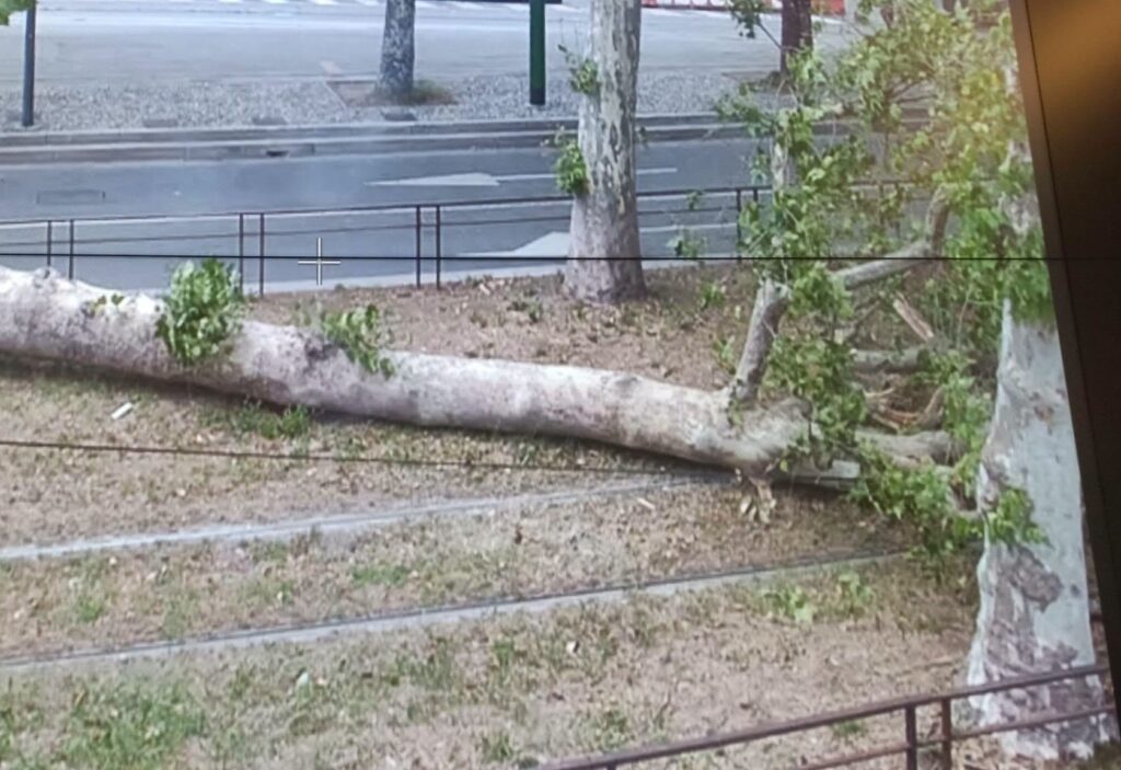 maltempo milano