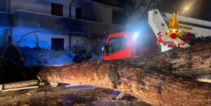 maltempo vigili fuoco notte albero