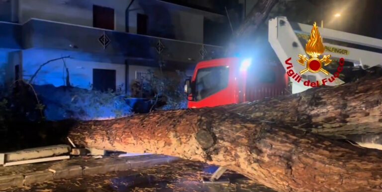 maltempo vigili fuoco notte albero