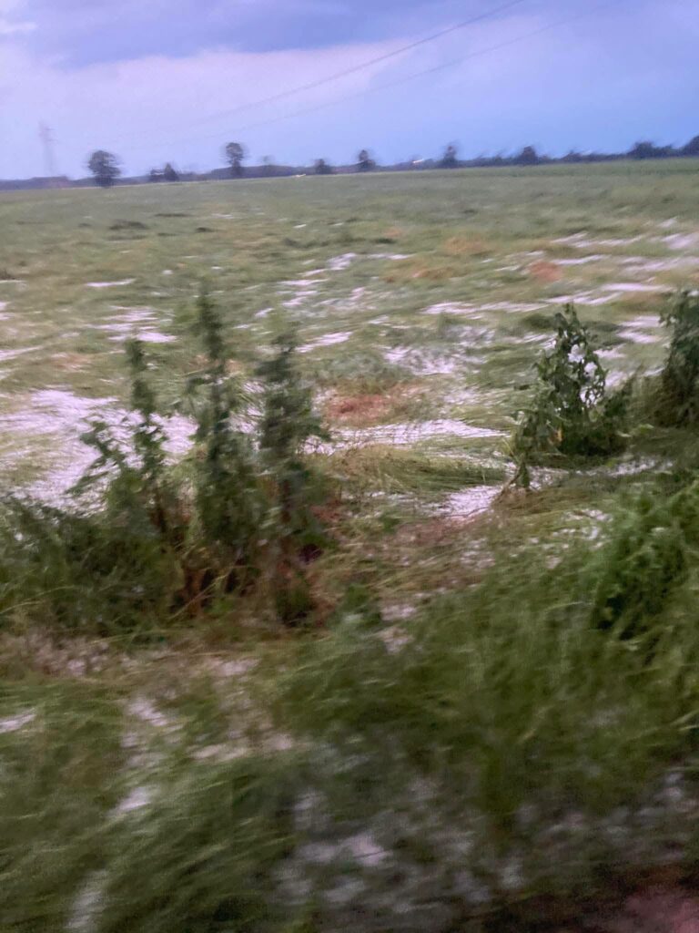 maltempo volvera piemonte