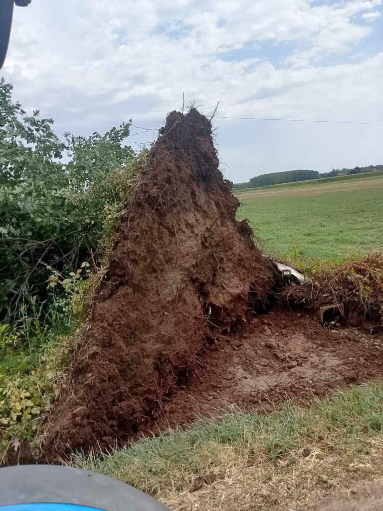 maltempo volvera piemonte