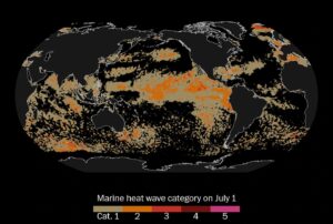 ondata calore marino pacifico