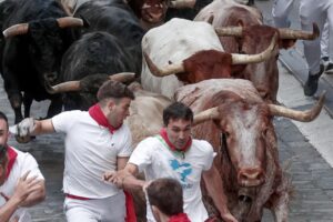pamplona san fermin