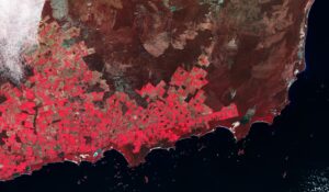 patchwork australia esa copernicus sentinel