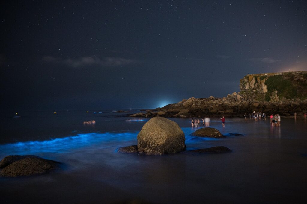 bioluminescenza spagna