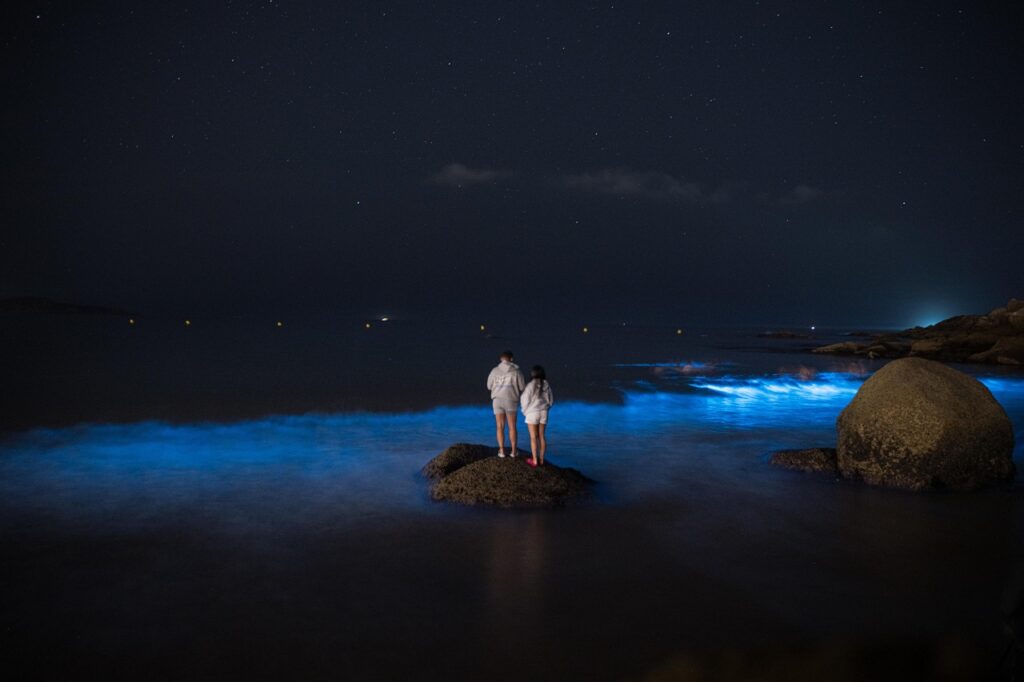 bioluminescenza spagna
