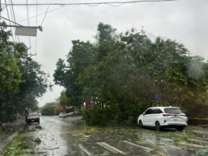 tempesta maysak vietnam
