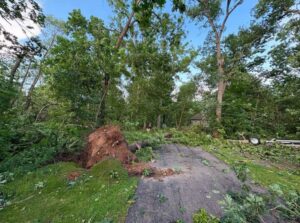 tempesta wisconsin