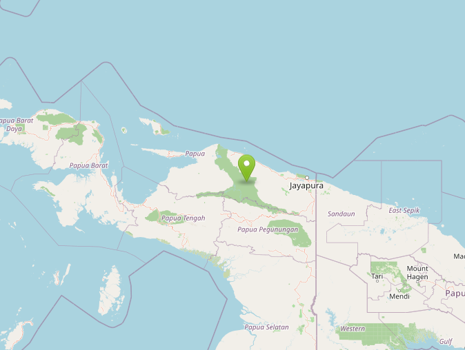 terremoto indonesia
