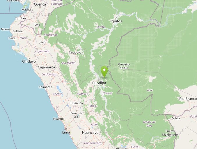 terremoto perù