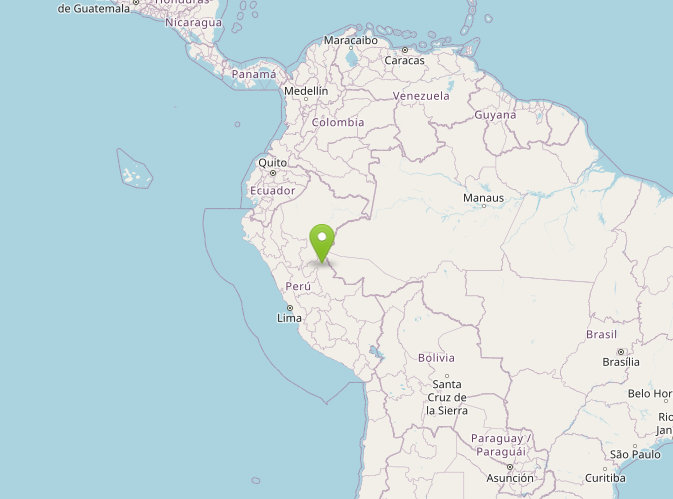 terremoto perù