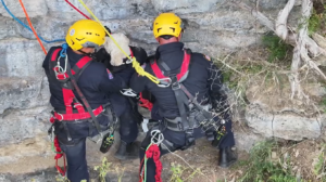 Cane salvato dopo 17 ore in bilico su un dirupo
