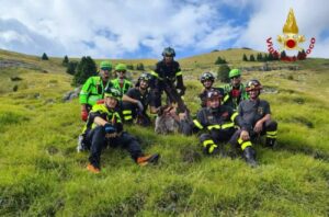 Cane vigili del fuoco