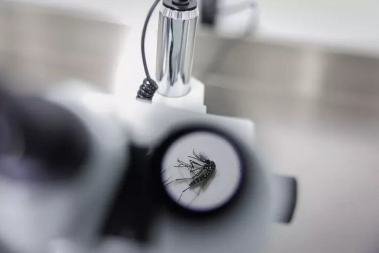 Chikungunya