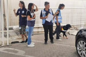 Controlli peste suina