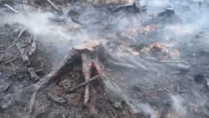 Incendi Belgio