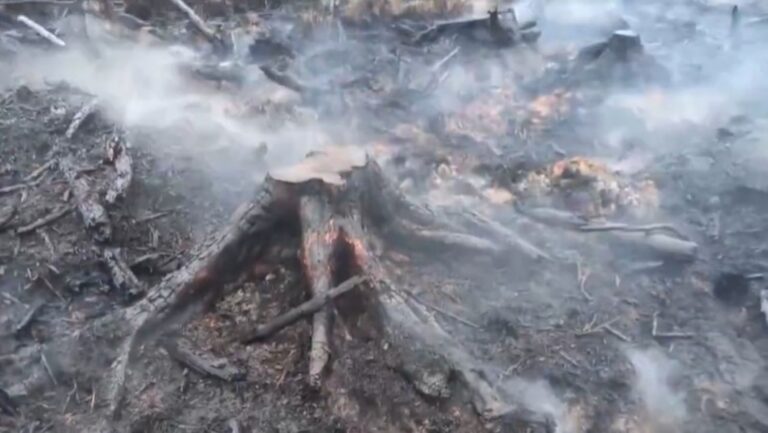 Incendi Belgio