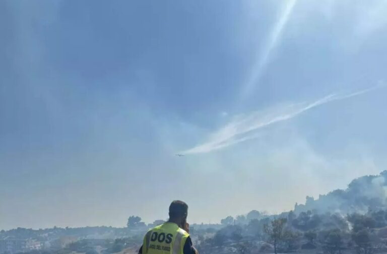 Incendi Puglia
