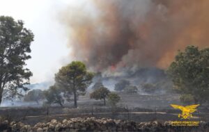 Incendi Sardegna