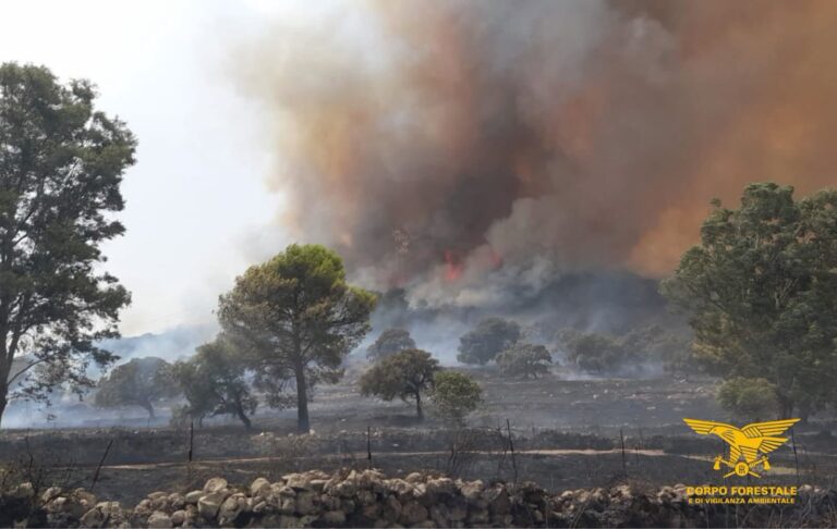 Incendi Sardegna