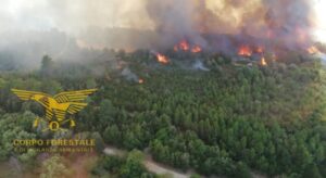 Incendi Sardegna