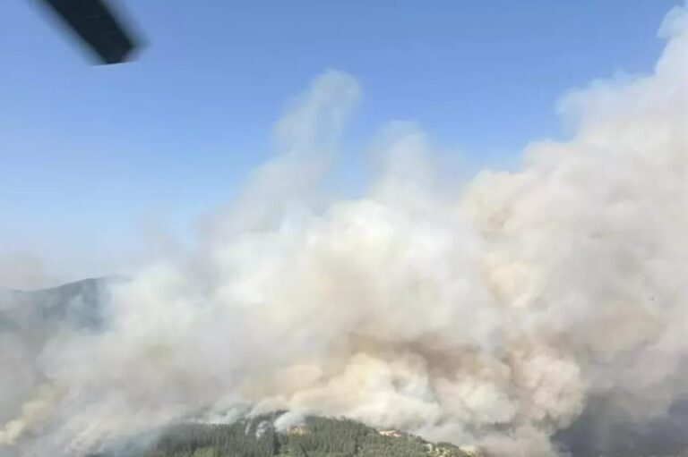 Incendi Sardegna