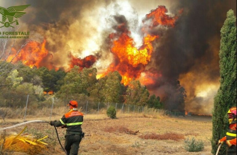 Incendi Sardegna