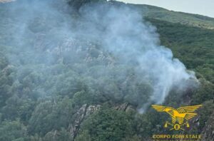 Incendi Sardegna