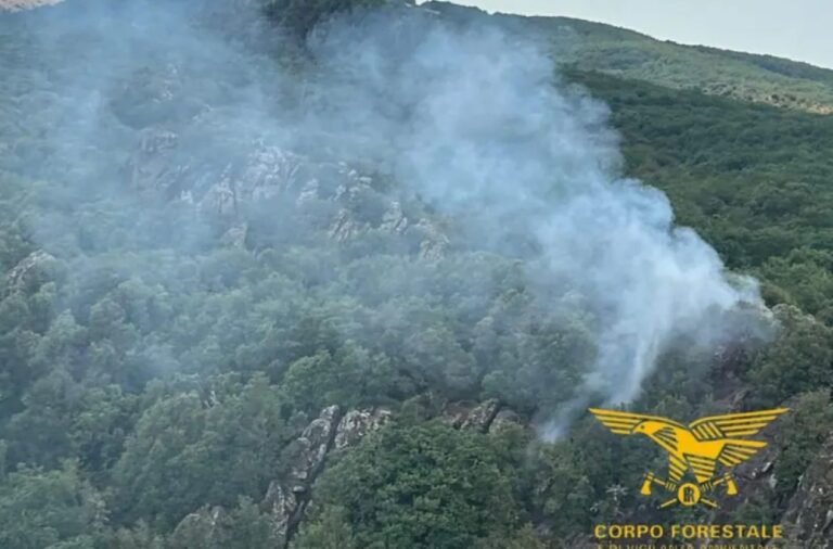 Incendi Sardegna