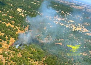 Incendi Sardegna