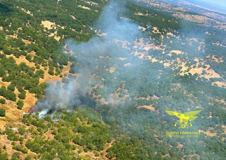 Incendi Sardegna