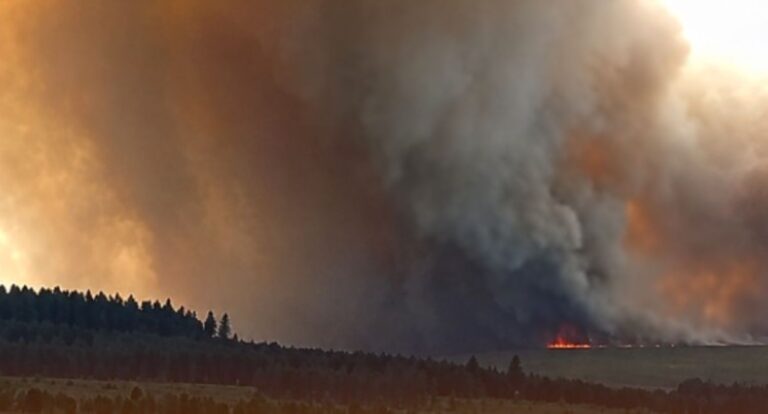 Incendio Belgio