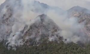 Incendio Friuli