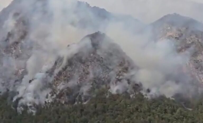 Incendio Friuli