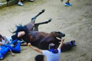 Incidente Palio Siena