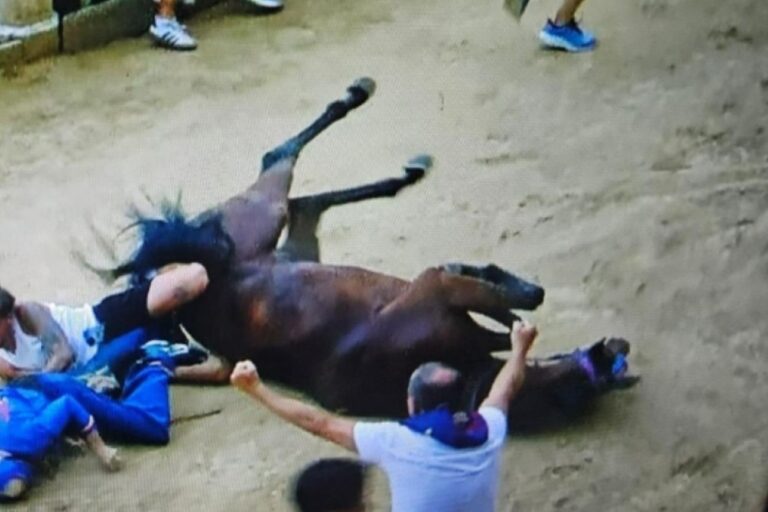 Incidente Palio Siena