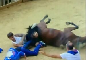 Incidente Palio Siena