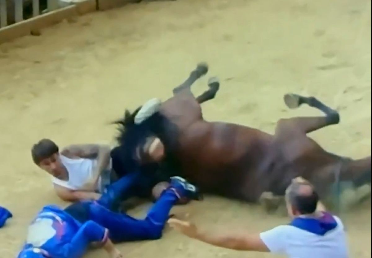 Terribile Incidente Al Palio Di Siena Fantino Ricoverato Dopo Una terribile-incidente-al-palio-di-siena-fantino-ricoverato-dopo-una