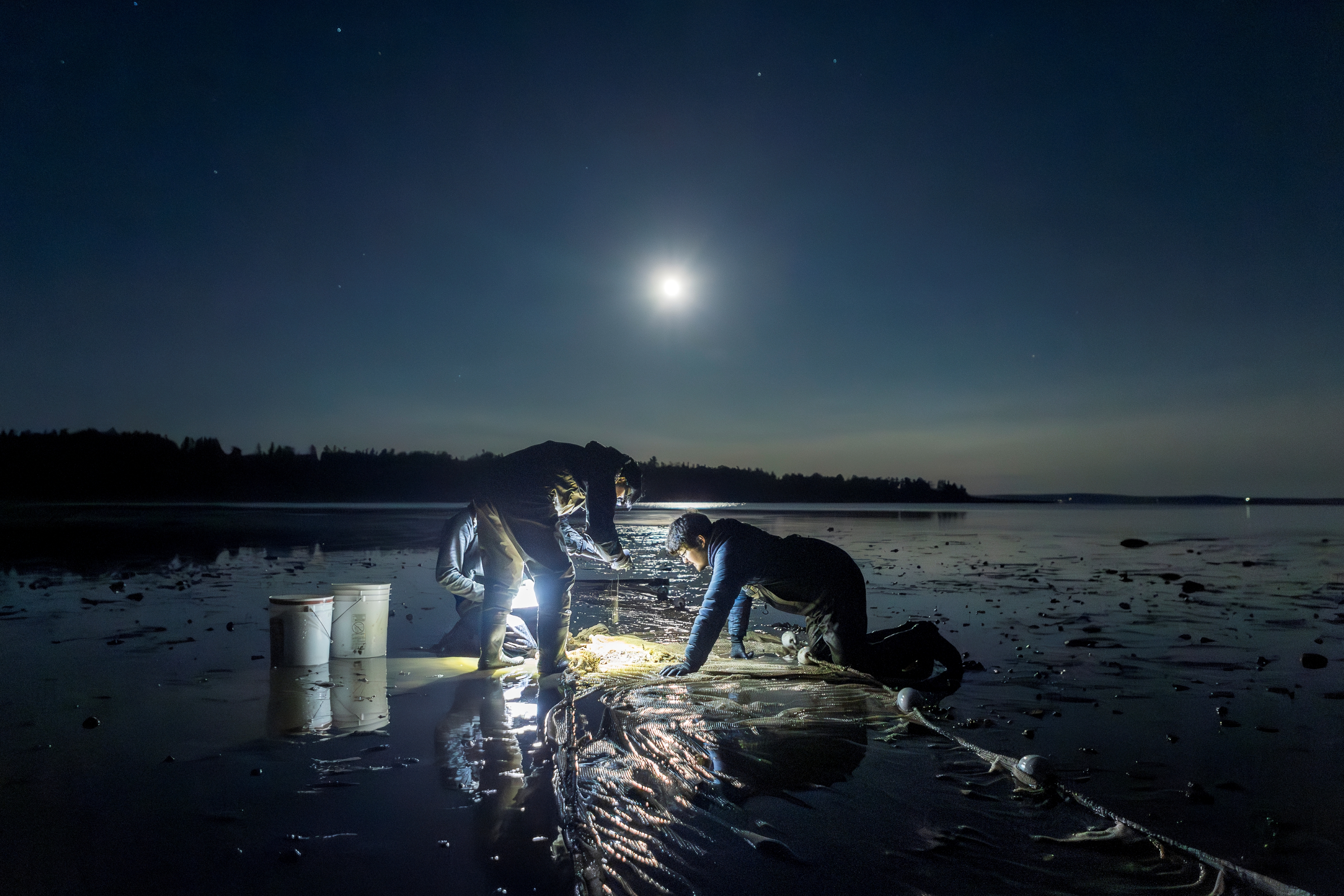 Intertidal Education