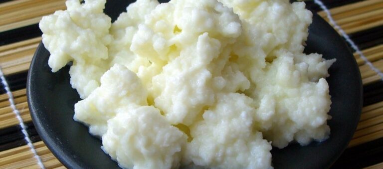 kefir
