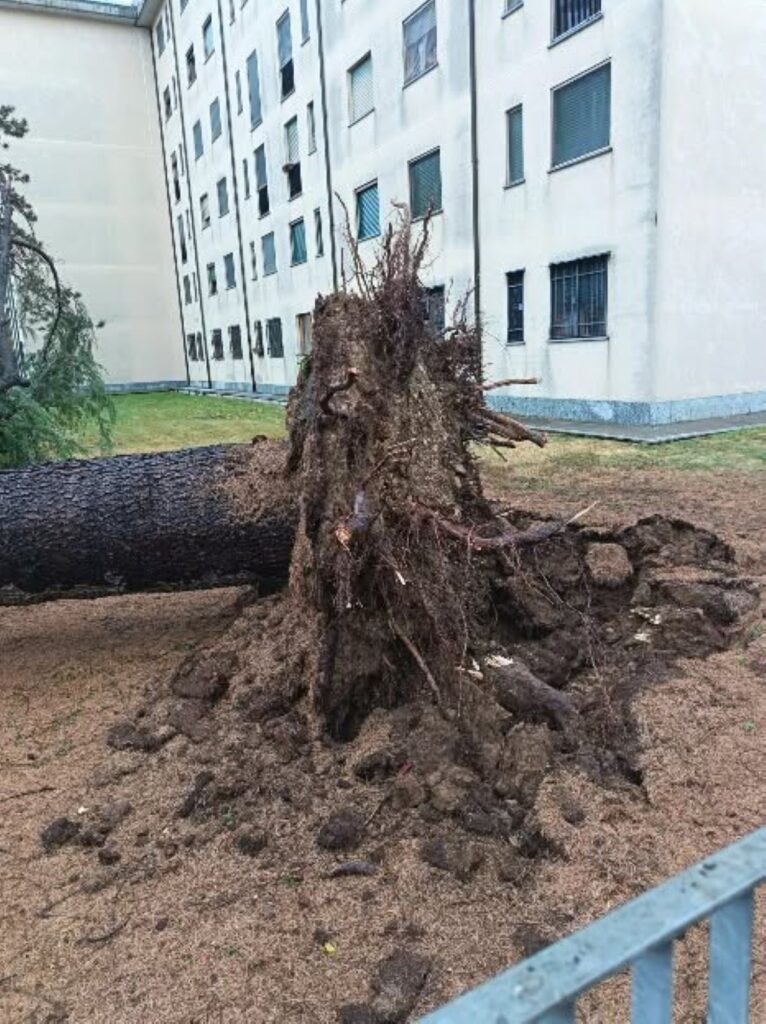 Maltempo Piemonte