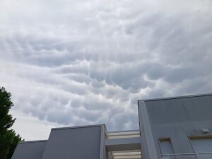 Mammatus Marche