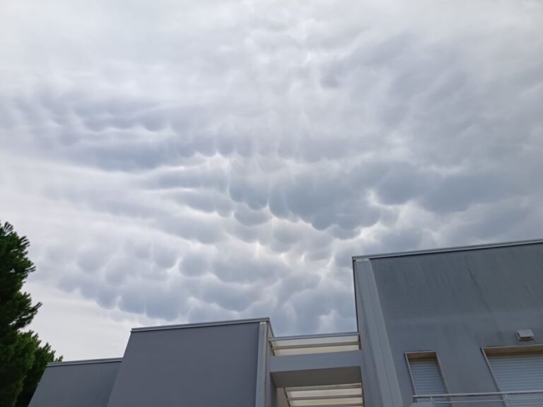 Mammatus Marche