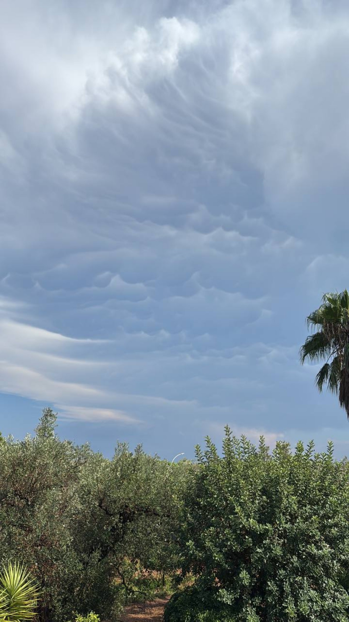 Mammatus Mesagne Brindisi
