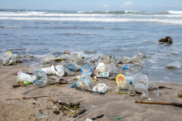 Rifiuti spiaggia