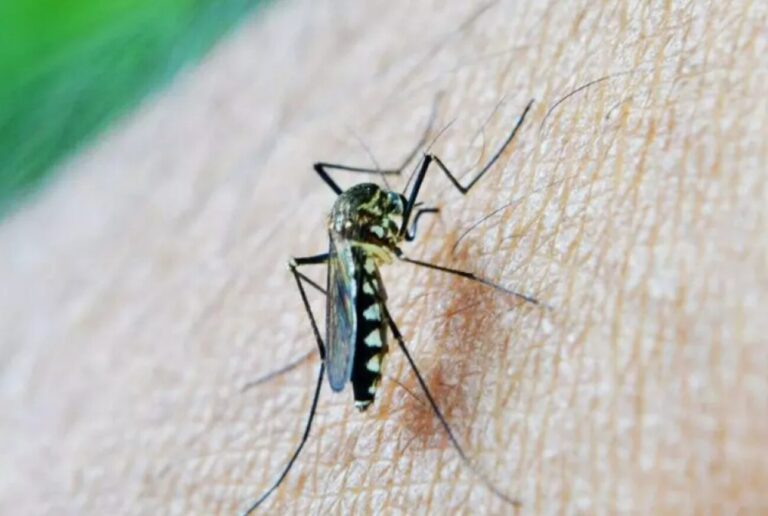 West Nile