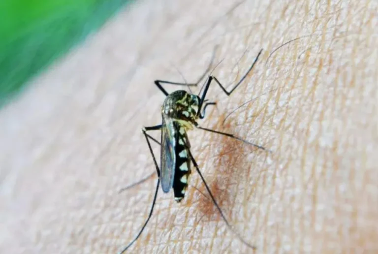 West Nile