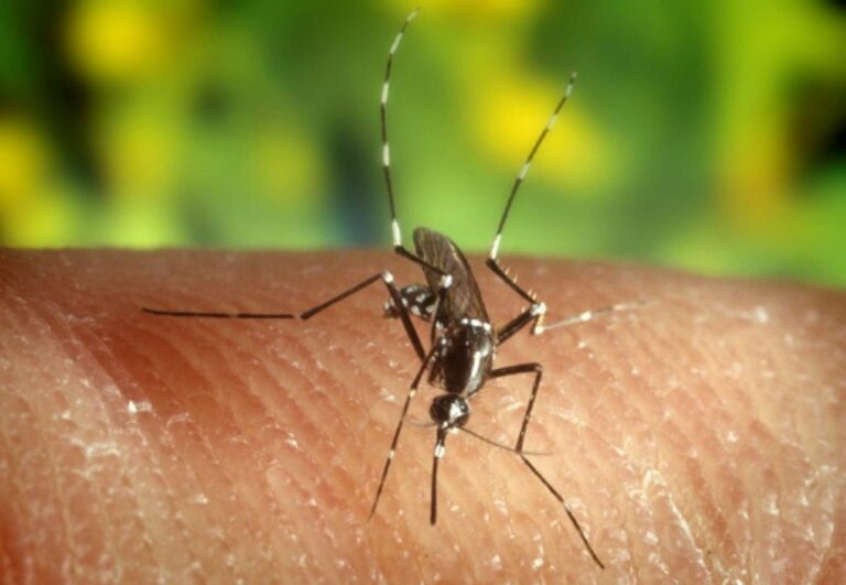 West nile