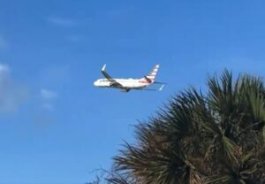 bird strike american airlines